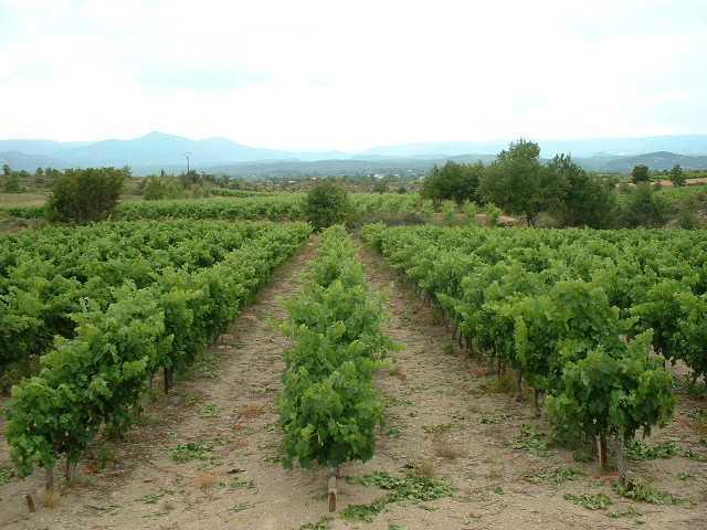 Domaine De Peyre Brune Beaulieu  Esterno foto